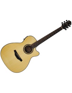 CRAFTER HT-250CE NT