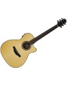 CRAFTER HD-250CE NT
