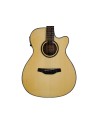CRAFTER HD-250CE NT