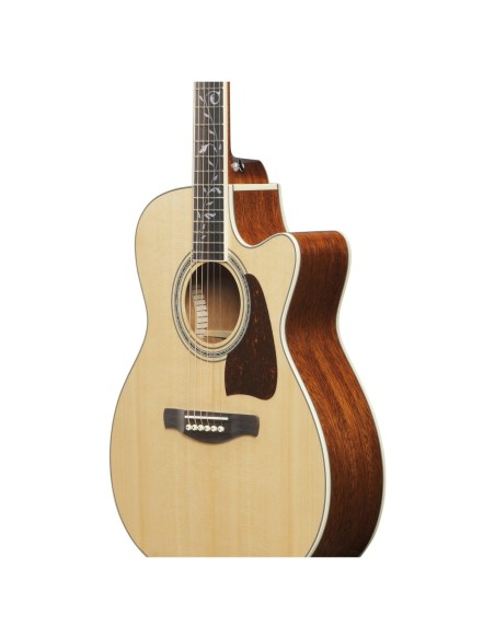 Ibanez AC390CE Artwood Natural High Gloss