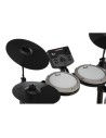 Pearl ERS-1000 eRoadshow