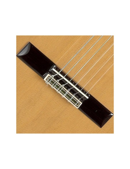 Alhambra 8 P con Case Rigido