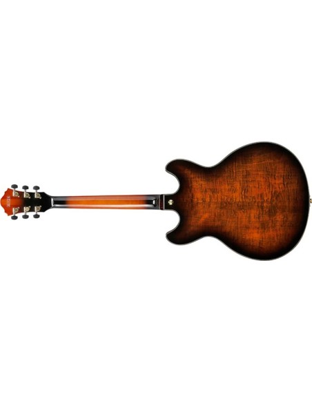 IBANEZ ASH300 TBC