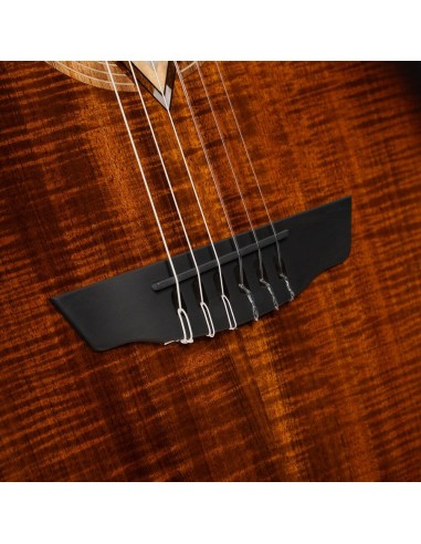 Cort Luxe Nylon II Frank Gambale...