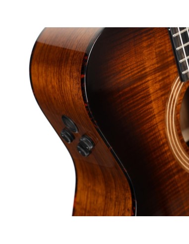 Cort Luxe Nylon II Frank Gambale...