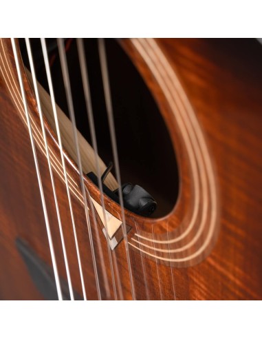 Cort Luxe Nylon II Frank Gambale...