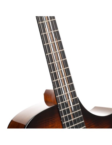 Cort Luxe Nylon II Frank Gambale...
