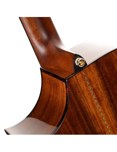 Cort Luxe Nylon II Frank Gambale...
