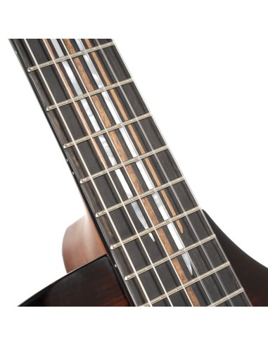 Cort Luxe Nylon II Frank Gambale...