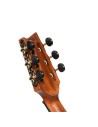 Cort Luxe Nylon II Frank Gambale Signature Brown Black Burst