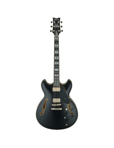 Ibanez JSM20BKL John...