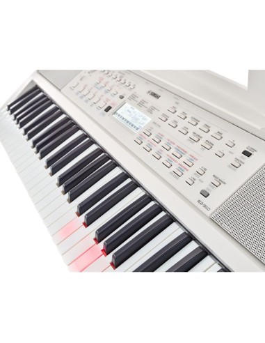 Yamaha EZ-310