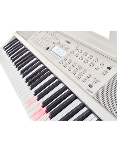 Yamaha EZ-310