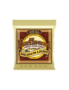 Ernie Ball 2003 Earthwood...
