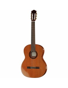 Cordoba C5