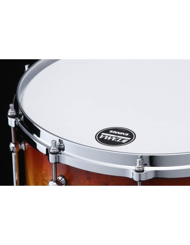Tama LGM147M-TMP Mappa Burl Limited...
