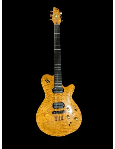 GODIN LGX Usata