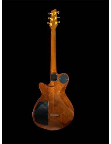 GODIN LGX Usata