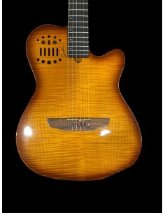 Godin Multiac ACS-SA... 2