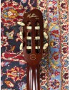 Godin Multiac ACS-SA Lightburst Flame Nylon USB