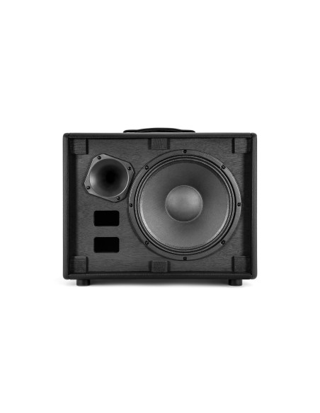 Ik Multimedia TONEX CAB