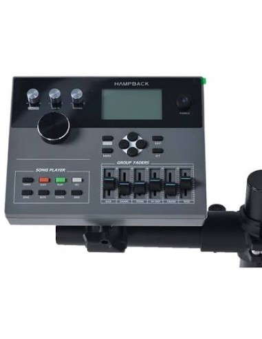 Hampback ACE-530