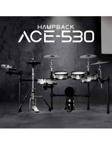 Hampback ACE-530