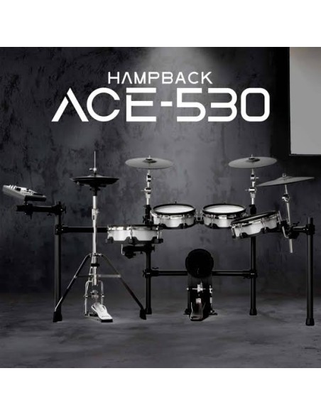 Hampback ACE-530