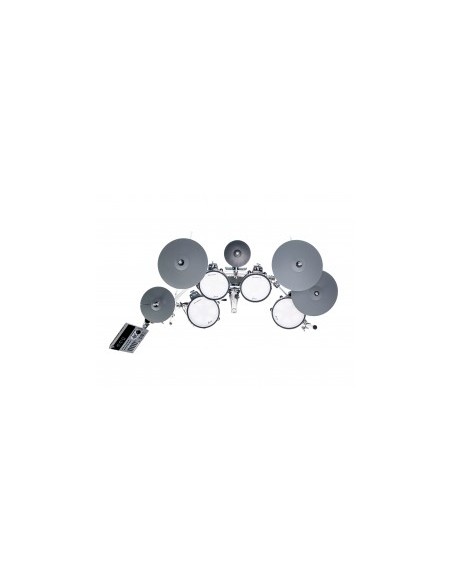 Hampback ACE-1719