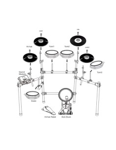 Echord MD100 2