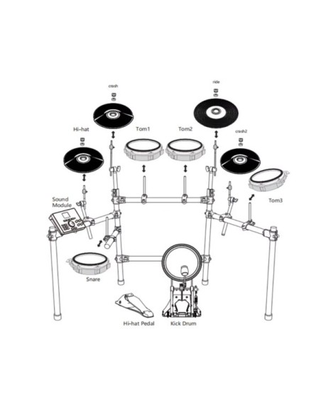 Echord MD100