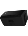ELECTRO VOICE EVERSE 12