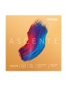 D'Addario Ascentè A310 4/4 Medium Tension