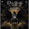 Dean Markley BlackHawk 09-42 Coated Electric