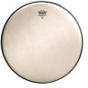 Remo RA-0012-SS Reinassance Ambassador 12