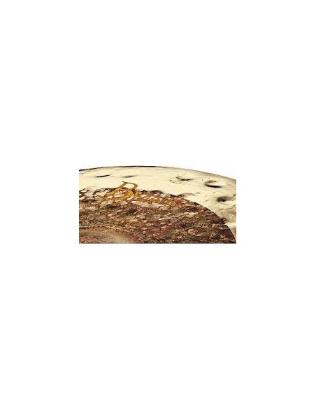 Meinl B15DUH Extra Dry Dual Hi-Hat 15