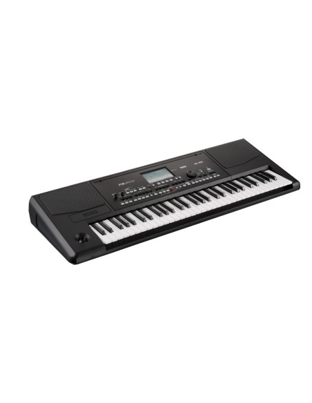 KORG PA300