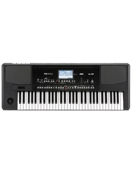 KORG PA300