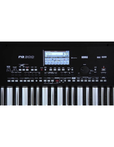 KORG PA300