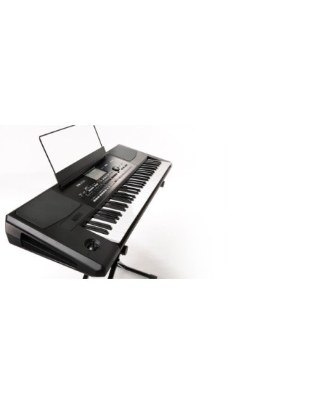KORG PA300