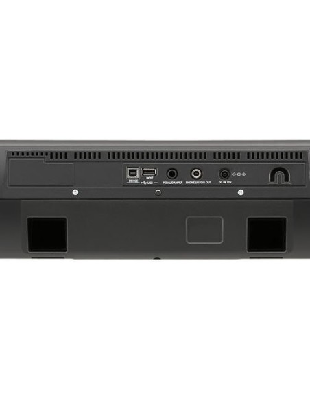 KORG PA300