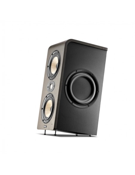 FOCAL SHAPE TWIN