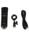 MARANTZ MPM1000U MICROFONO PER PODCAST USB A CONDENSATORE