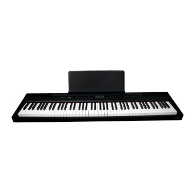 ECHORD SP-10/B DIGITAL...