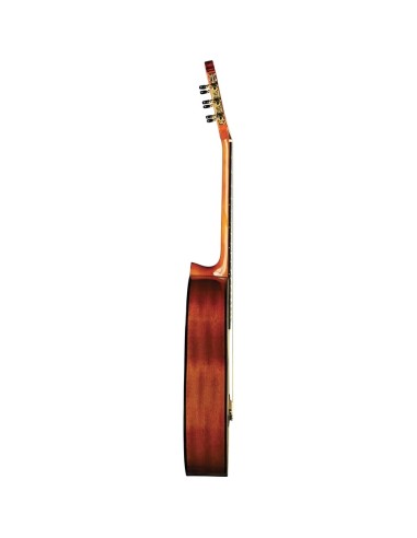Eko Vibra 100