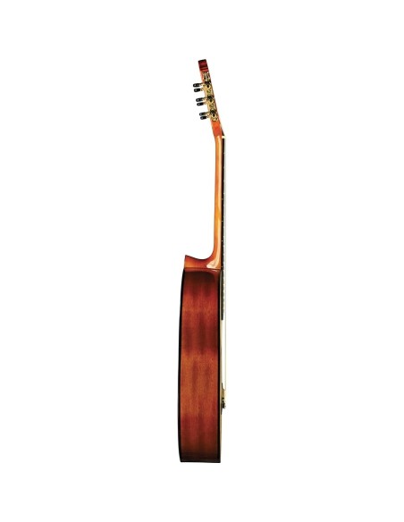 Eko Vibra 100