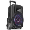 Fenton FT12LED SISTEMA PORTATILE 12" 700W CON RADIOMICROFONO, BLUETOOTH, USB, TELECOMANDO