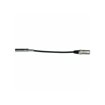 Bespeco BT750 XLR...