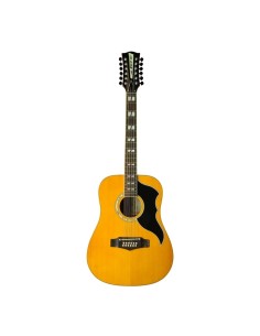 Eko Guitars Ranger XII VR...