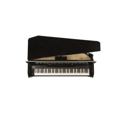 DEXIBELL Vivo H10 MG Nero... 2